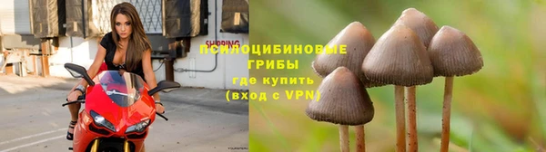 синтетический гашиш Переславль-Залесский