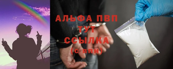 дмт Пересвет