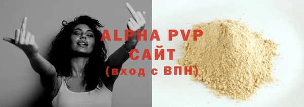 дмт Пересвет