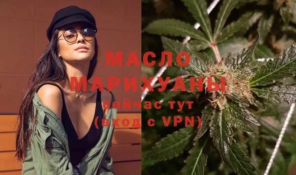 дмт Пересвет