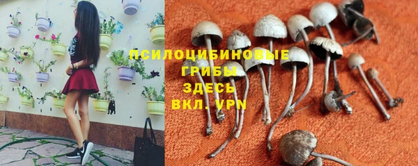 синтетический гашиш Переславль-Залесский