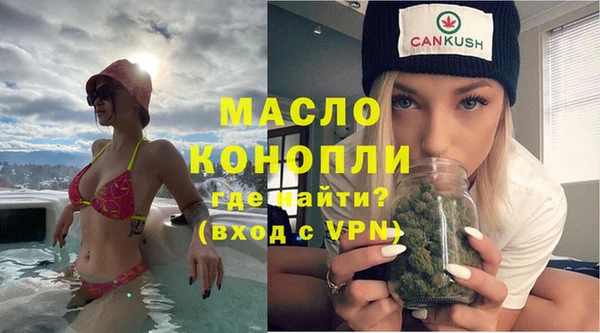дмт Пересвет