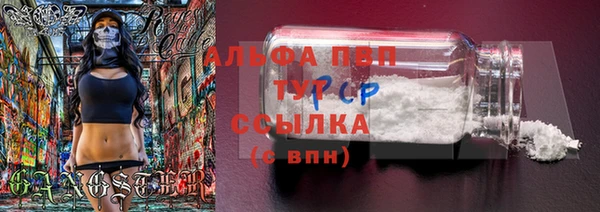 скорость Пестово