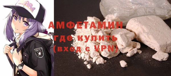 дмт Пересвет