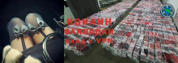 дмт Пересвет