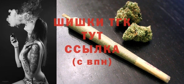 дмт Пересвет