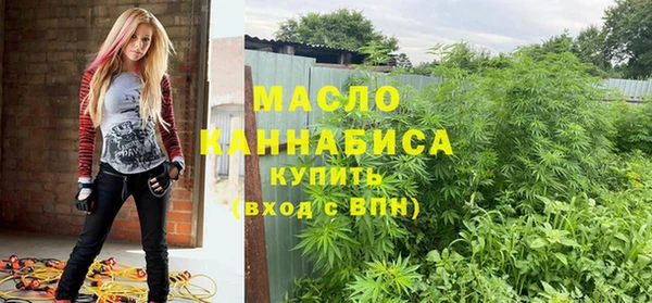 дмт Пересвет