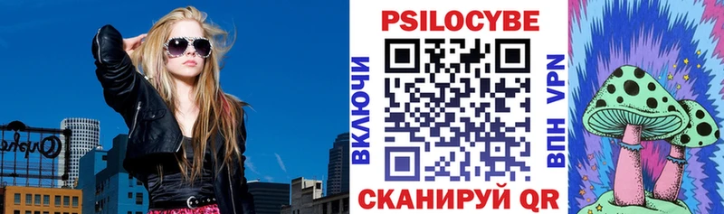 магазин  наркотиков  Ковдор  Псилоцибиновые грибы мухоморы 